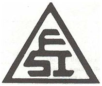 FSI Logo